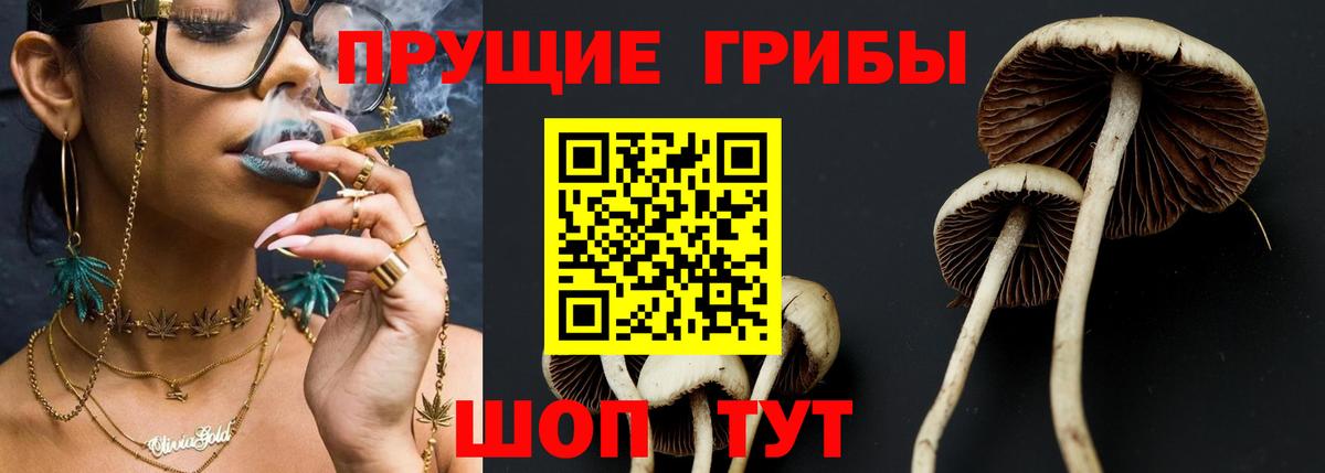 Псилоцибиновые грибы прущие грибы  даркнет сайт  Белая Калитва  Вход с VPN  Галлюциногенные грибы мухоморы 